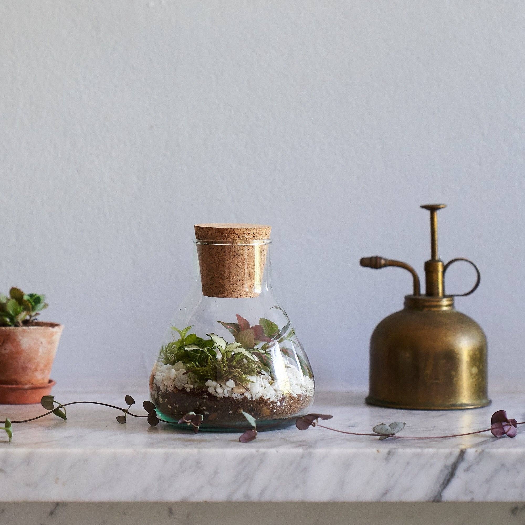 Botanique Workshop - Wholesale DIY Craft Kit - Terrarium Making Kit3