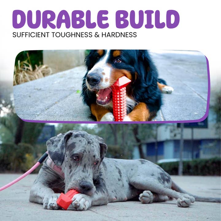 TOME DOG TOYS - Wholesale Pet Chew Toy - Dog - Dog Chew Toy & Toothbrush – For Aggressive Chewers | Durable2