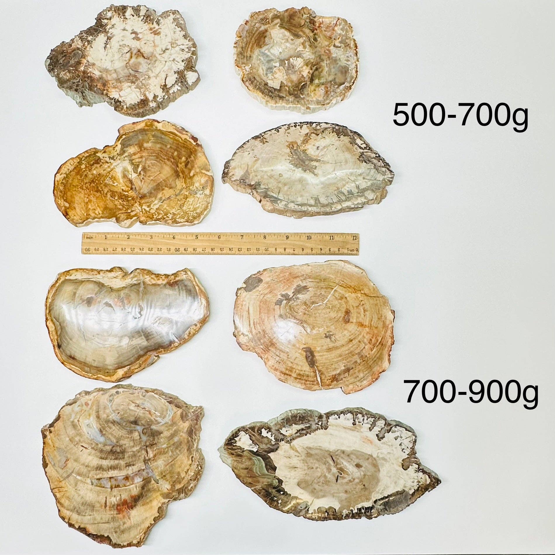 Rock Paradise - Wholesale Spiritual Stone/Crystal - Petrified Wood Slabs1