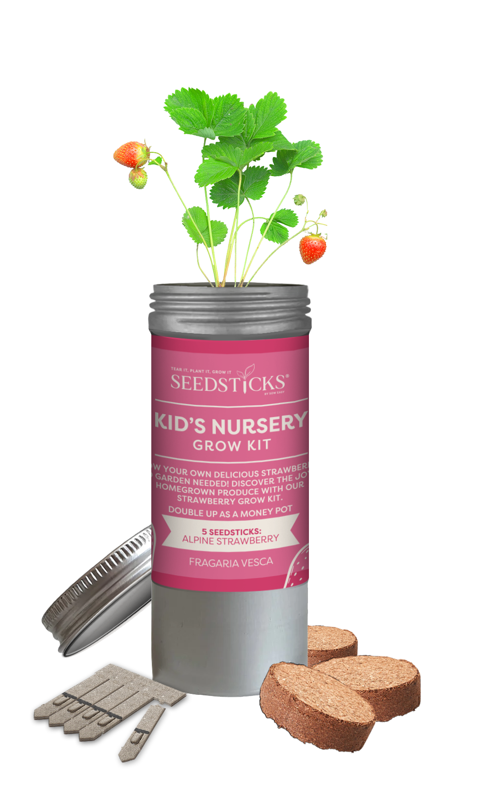 Seedsticks® – wholesale Plant seeds – Desktop Tube Gardens Strawberry0