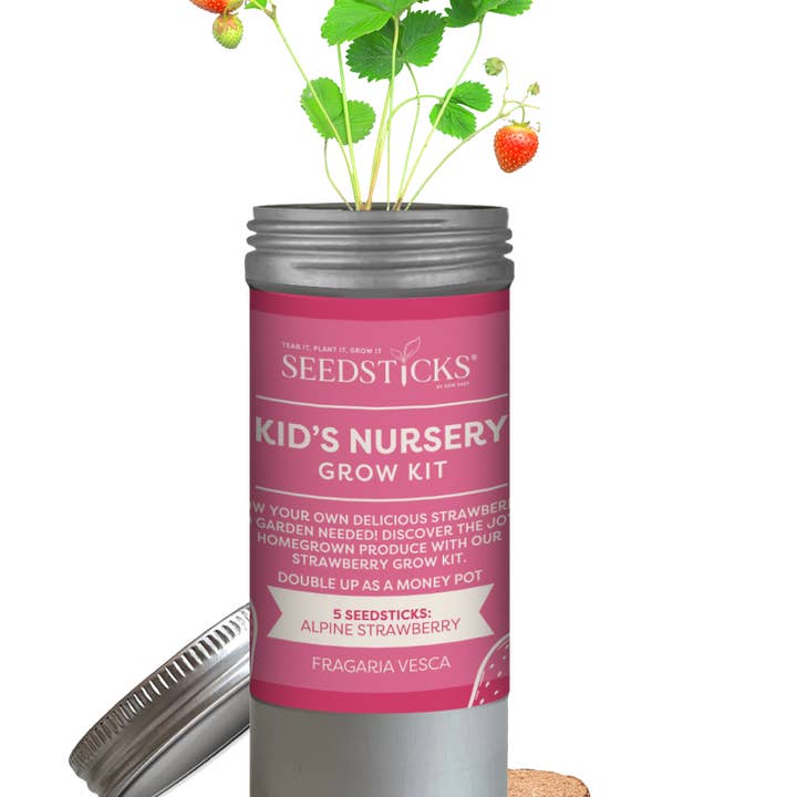 Seedsticks® – wholesale Plant seeds – Desktop Tube Gardens Strawberry0
