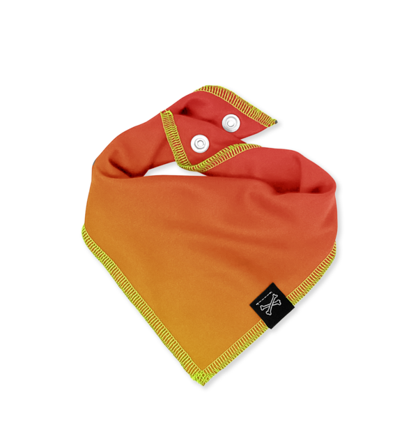 Bad Service Dogs - Vente Bandana – chien - Miami Matins | Bandana personnalisable pour chien orange et rouge4
