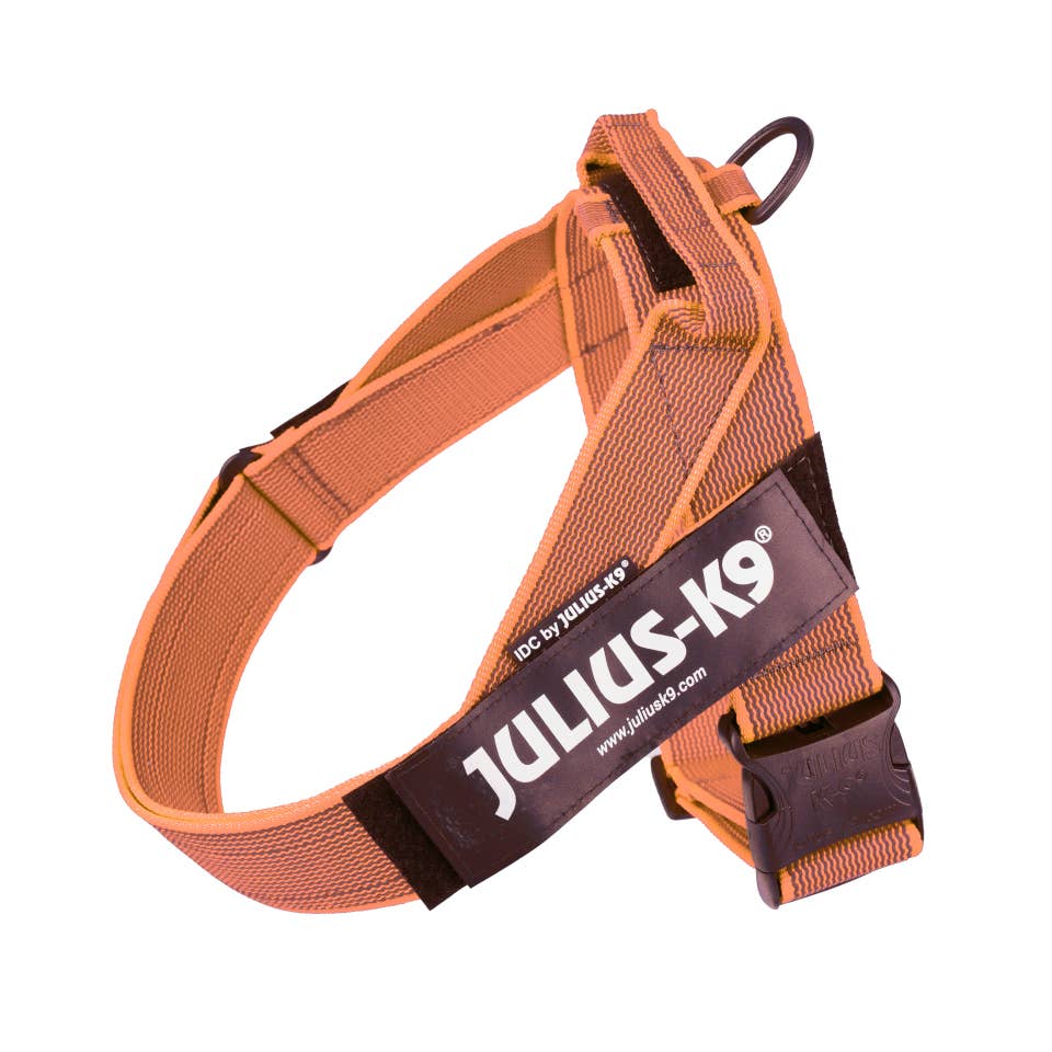 Julius K9 - Wholesale Pet Harness - Dog - Ergonomic Ergonomic CintaIDC Pet Dog Harness Orange