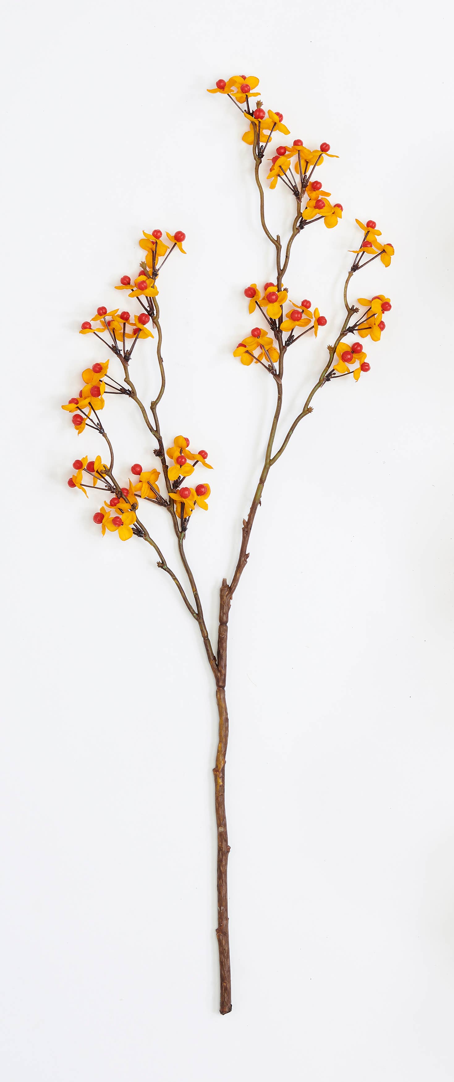 WORTH IMPORTS - Wholesale Artificial Flowers - 24" Bittersweet Spray0