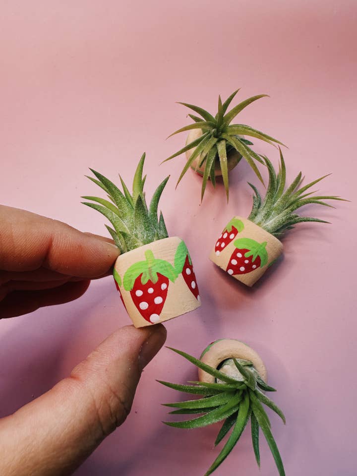 Berry Cute Mini Planter for wholesale by O'Berry's Succulents