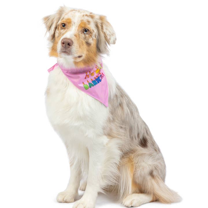 Party Time Pink Bandana 2.0 for wholesale on Faire