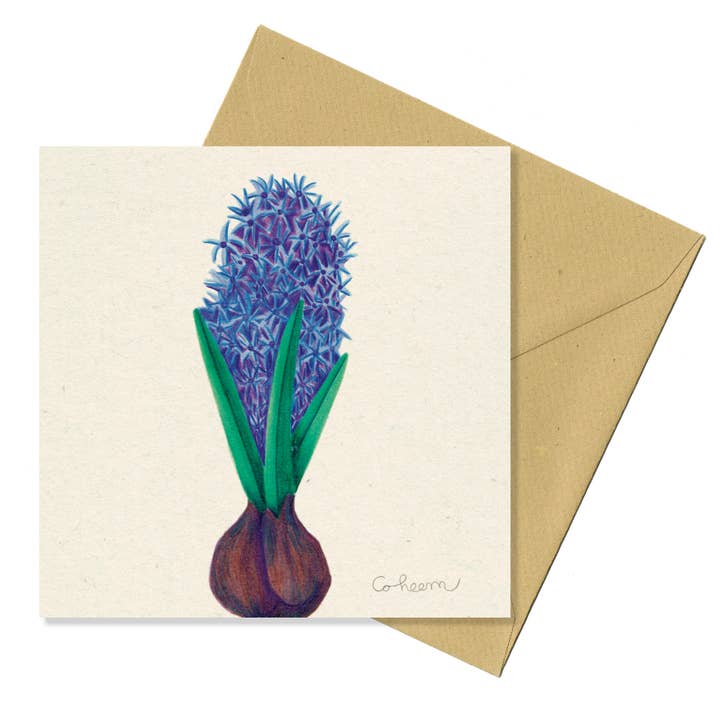 Coheem - Wholesale Everyday Greeting Card - Postcard: Hyacinth Flower Bulb