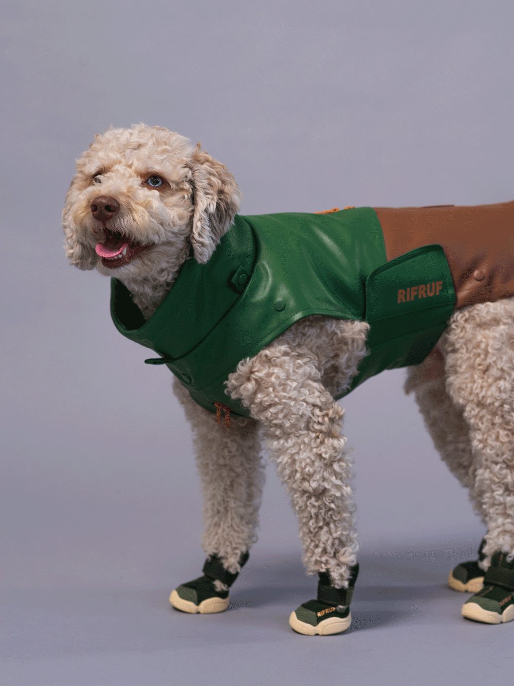 RIFRUF - Vente Bottines – chien - César 113