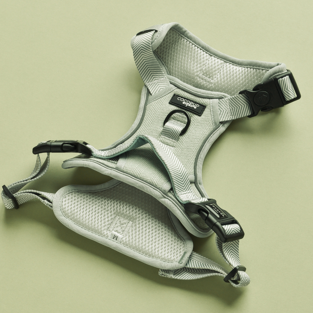 Cocopup London - Wholesale Tuig voor huisdieren - Hond - Verken Harness - Salie Tweed1