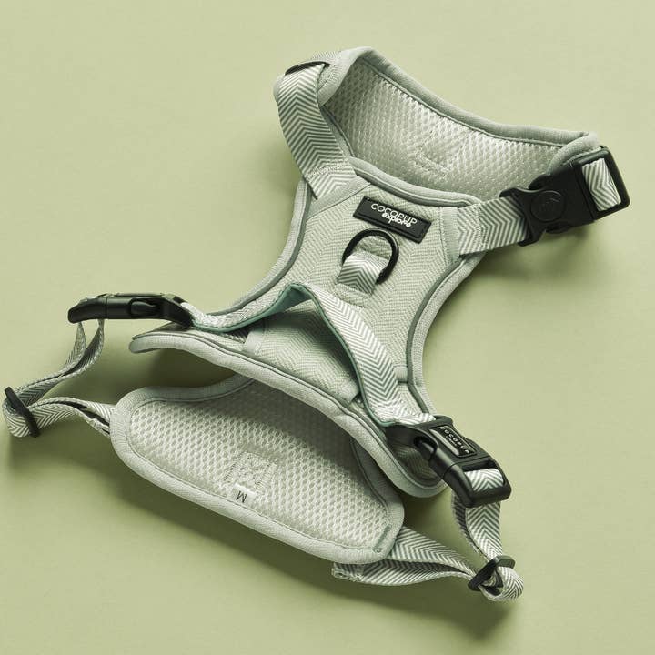 Cocopup London - Vendita all'ingrosso Pettorina - Cani - Esplora Harness - Tweed Salvia1