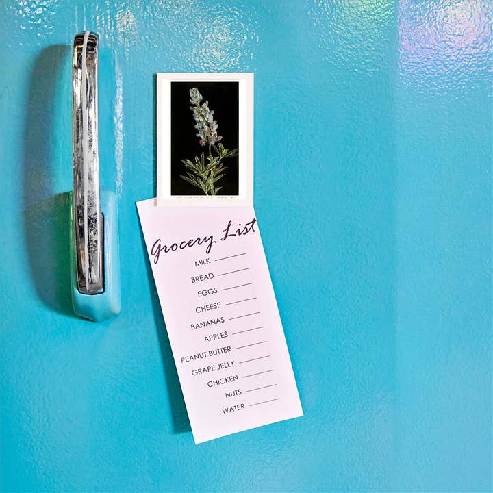 Found Image Press - Wholesale Magnet - Magnet YS-70 Lupine1