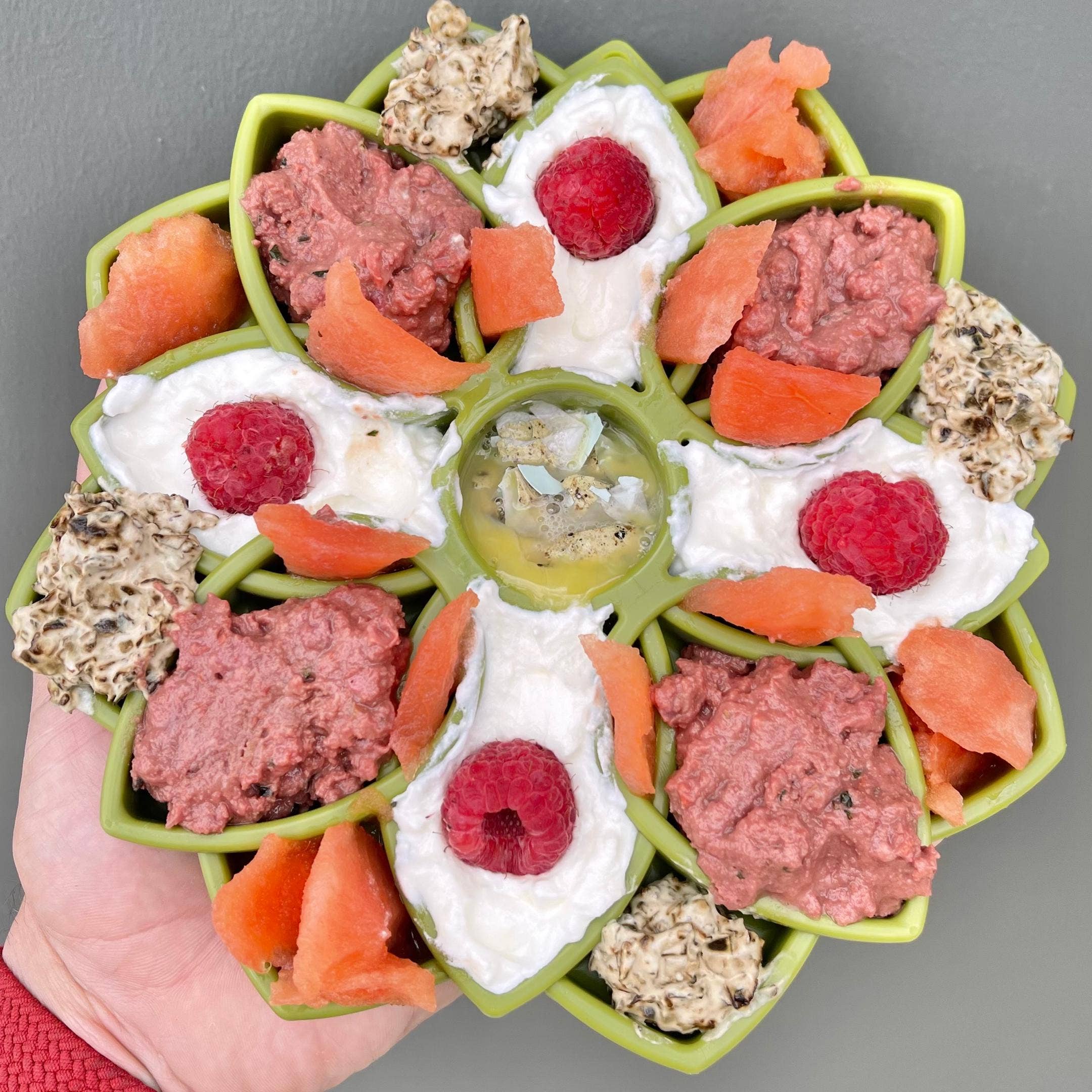 Rover Pet Products - Venta al por mayor Comedero - Gatos y perros - Mandala eTray Comedero Lento15