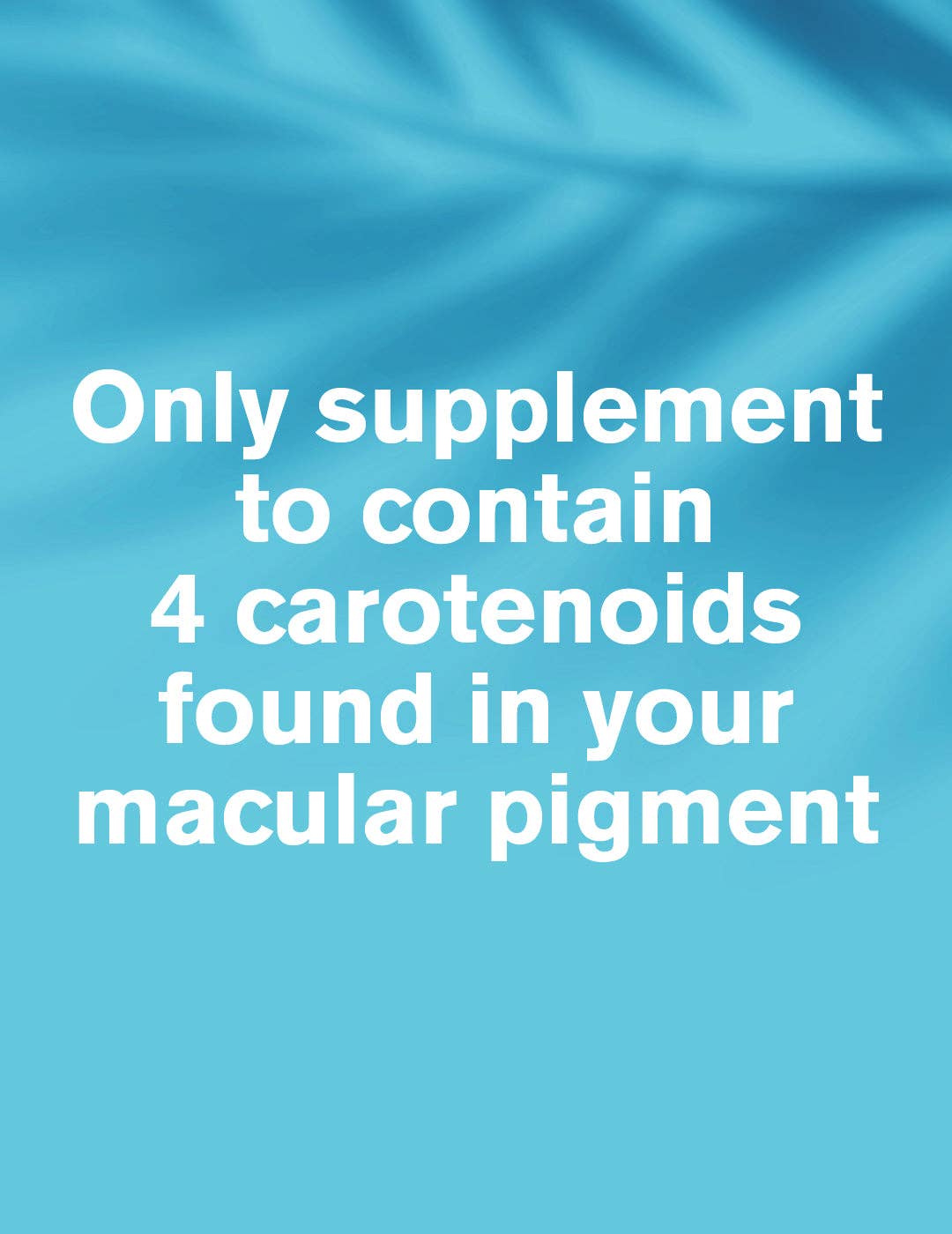 DR.VEGAN - Wholesale Oral Supplement/Vitamin - Screen Eyes™ | 60 Capsules | Complete Eye Health Supplement2