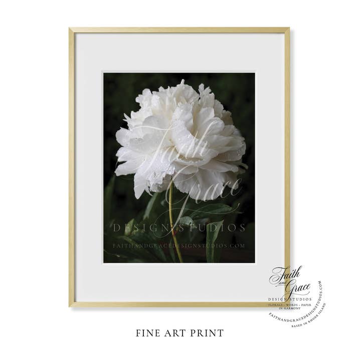 Impression artistique florale de pivoine blanche double pour la vente par Faith and Grace Design Studios