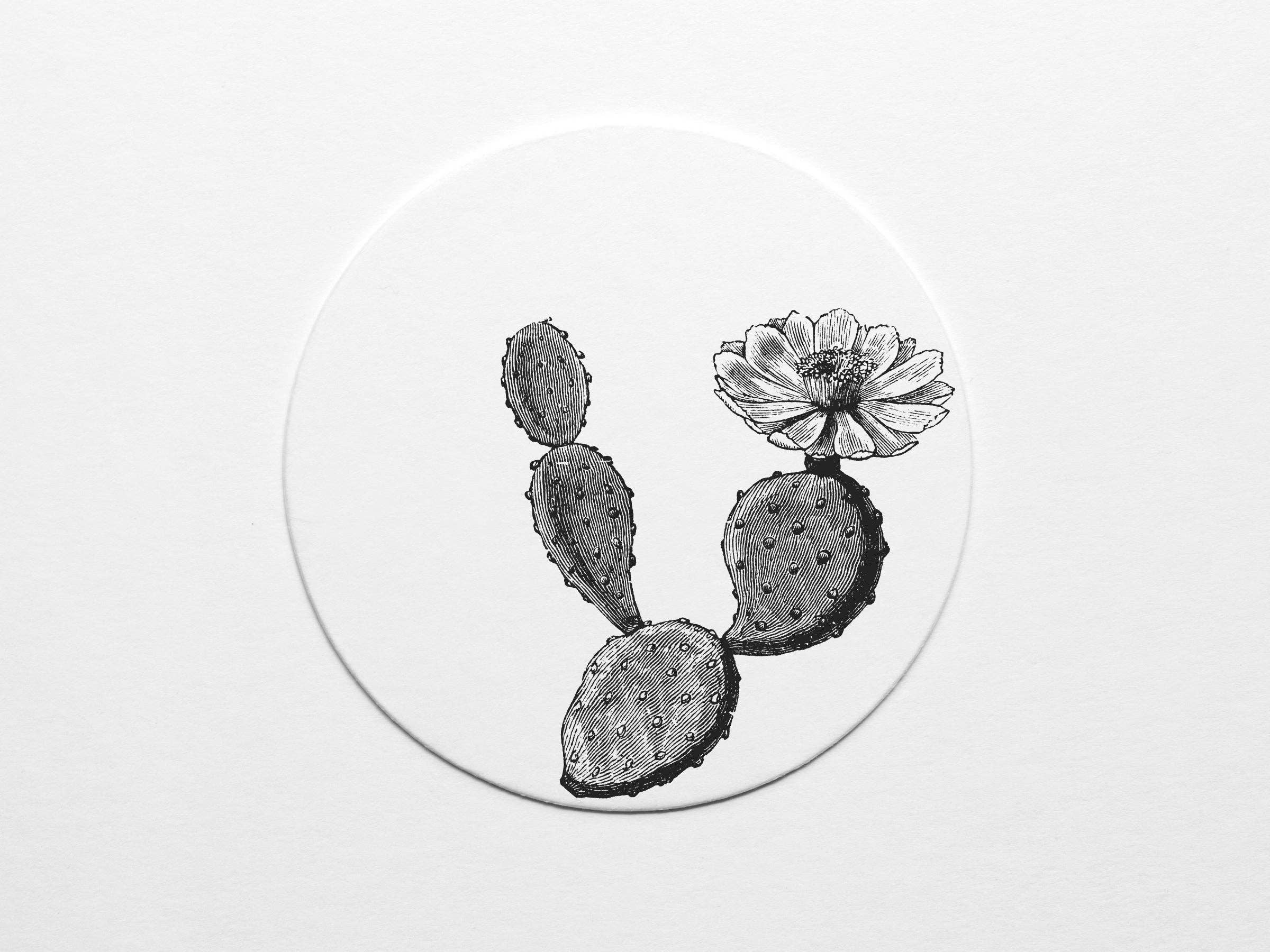 Easyhand Goods – formerly Onderkast – wholesale Coasters – Texas Prickly Pear Coaster Set1