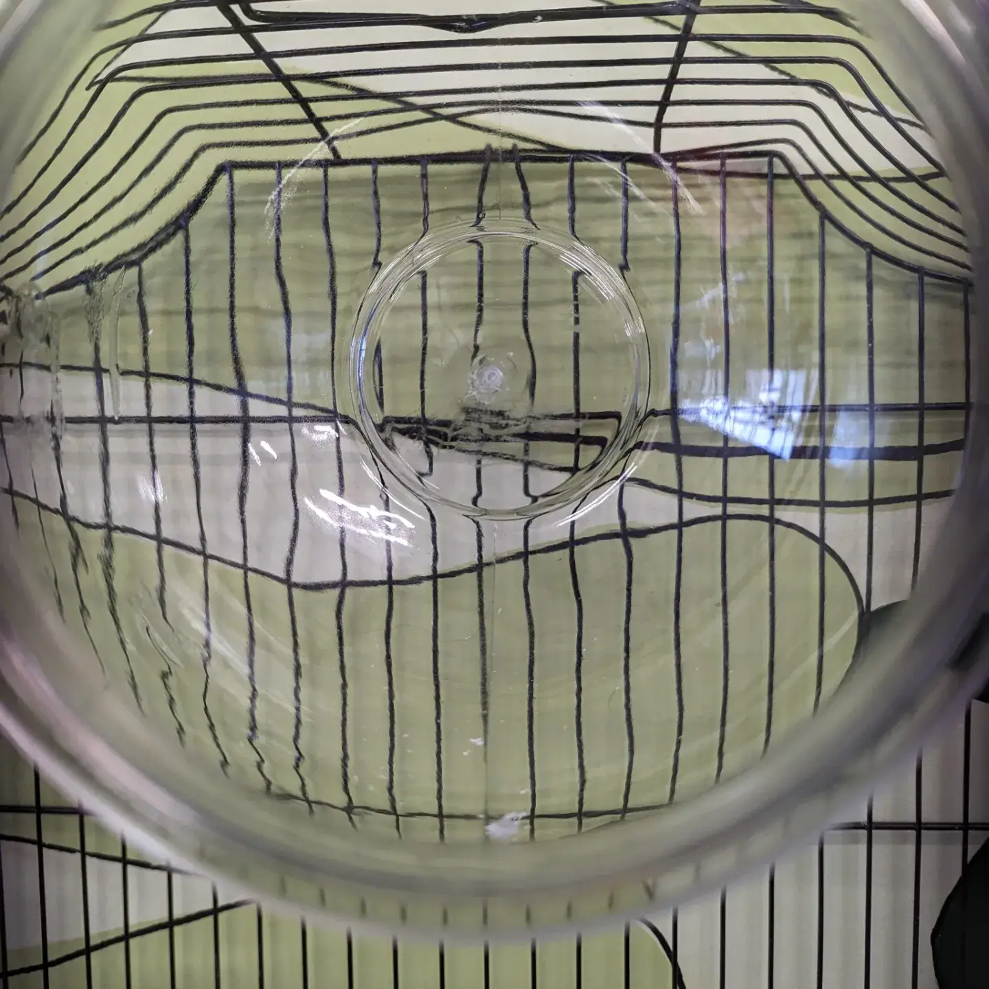 The Nature Nook – wholesale Pet bowl – Cat/dog – Fish bowl rat hide3