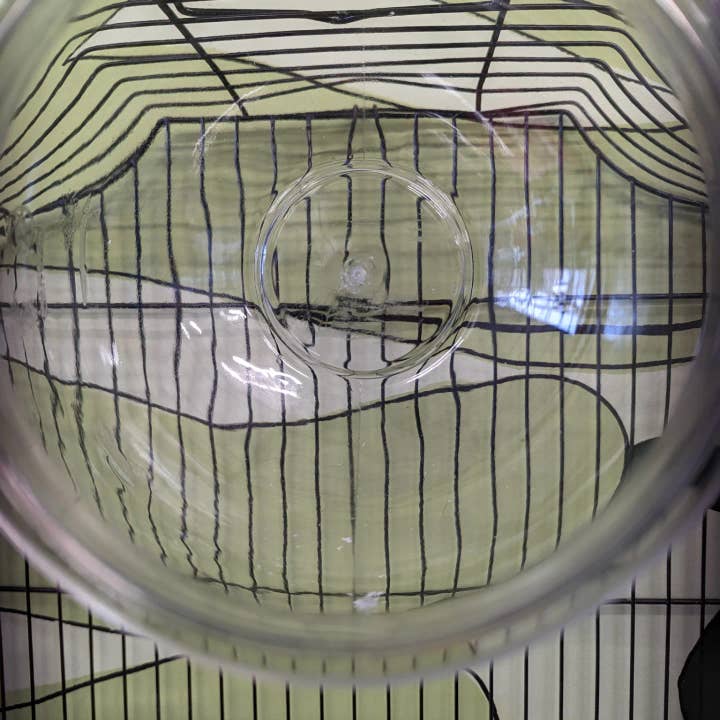 The Nature Nook – wholesale Pet bowl – Cat/dog – Fish bowl rat hide3