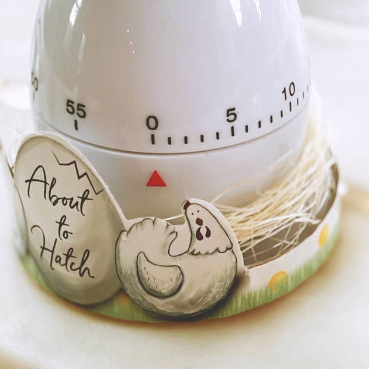 Kate Aspen - Wholesale Timer - About to Hatch Kitchen Egg Timer1