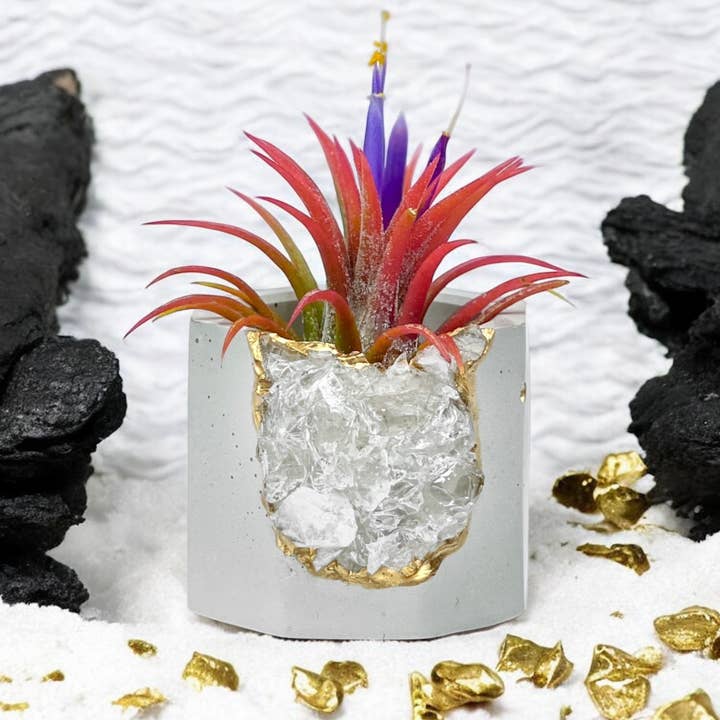 AURA 8 Art Boutique – wholesale Plant pot – Raw Clear Quartz Geode Planter, Crystal Planter Pot