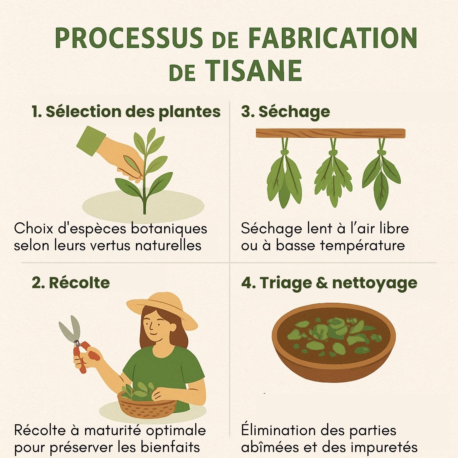 Zen'Arôme - Venta al por mayor Tés saludables/desintoxicantes - Té Herbal Orgánico Suave para la Noche — Infusiones relajantes y calmantes8