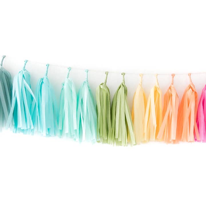 The Flair Exchange - Wholesale Bunting/Garland - Rainbow Tassel Garland Kit