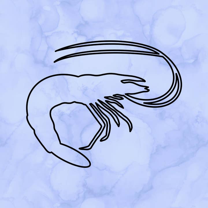 Shrimp Outline Decal (2") for wholesale by Sticking with You