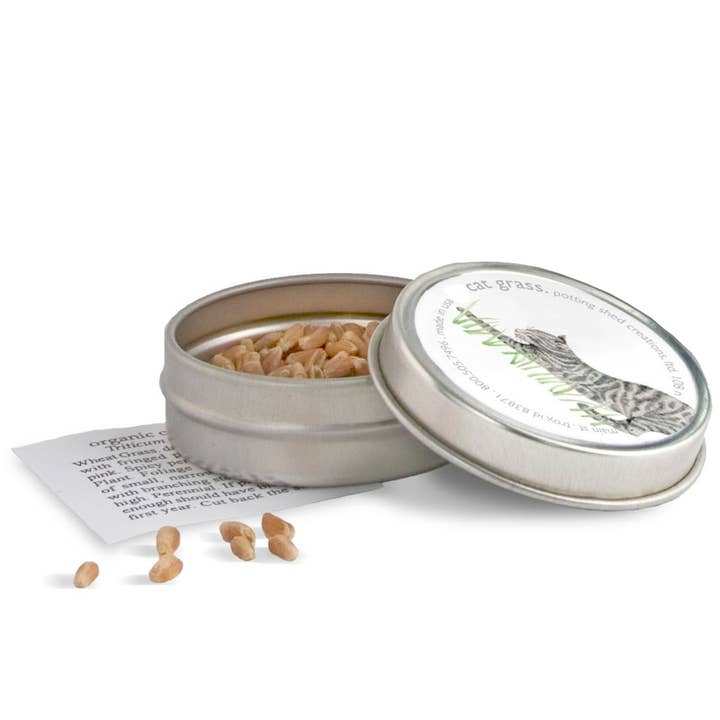 Potting Shed Creations, Ltd. - Wholesale Pet Toy - Cat/Dog - Pet Garden Sprinkle Pail | Best Seller