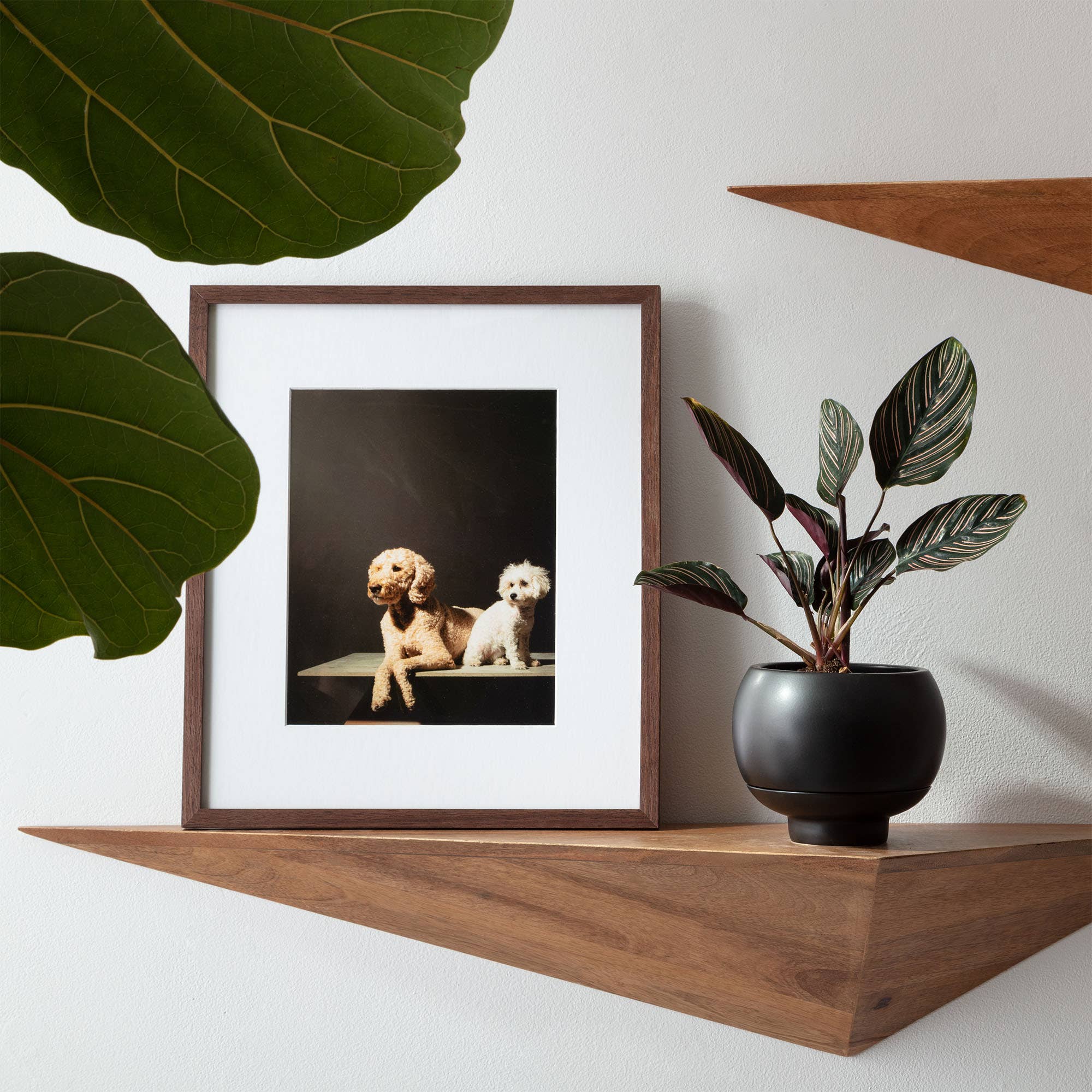 Greenery Unlimited - Wholesale Plant Pot - Sutton 15 Ceramic Self Watering Pot12