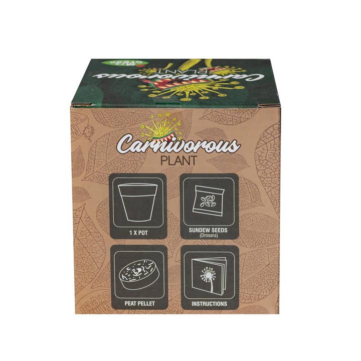 Heebie Jeebies - Wholesale Plant seeds - Carnivorous Plant | Grow Your own Carnivorous Plant1