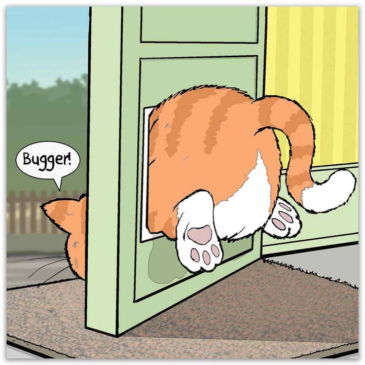 Twizler Ltd - Wholesale Everyday Greeting Card - Fat Cat Card - Funny Card