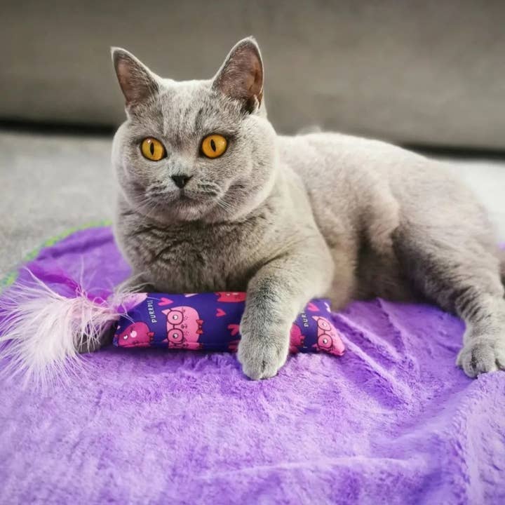 WufWuf - Wholesale Pet bed – Cat - MyMeow Purple Blanket Cat Bedding1