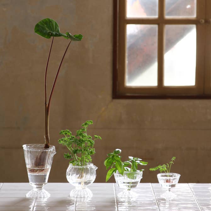 ReGrow Veggie Hydroponic Vases for wholesale by Time Concept