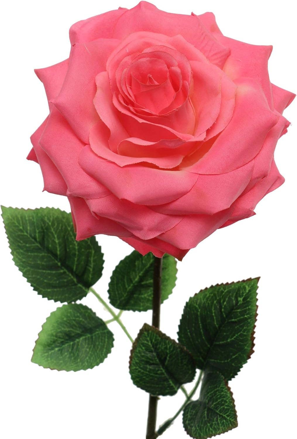 Larksilk - Wholesale Artificial Flowers - 20" Open Rose Stem - 6 PACK0