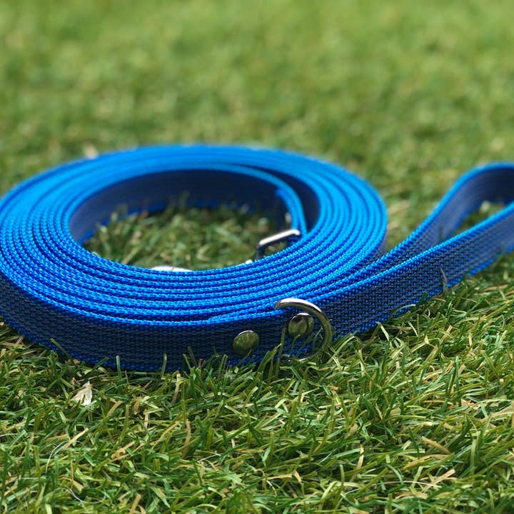 Dog Leash - Non-Slip Leash - Blue - Training - Tracking Line for wholesale by Four Paws Boutique