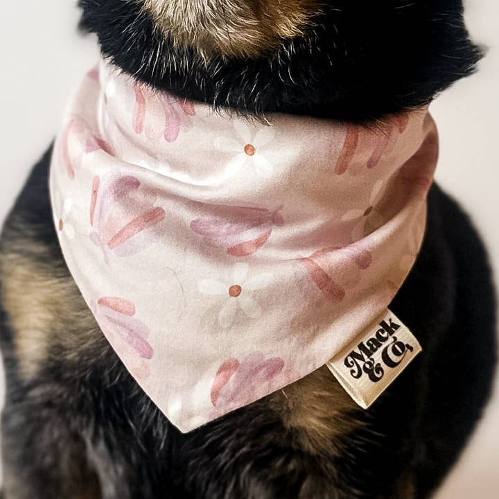 Bandana Daisy Costera para venta al por mayor de Mack & Co.