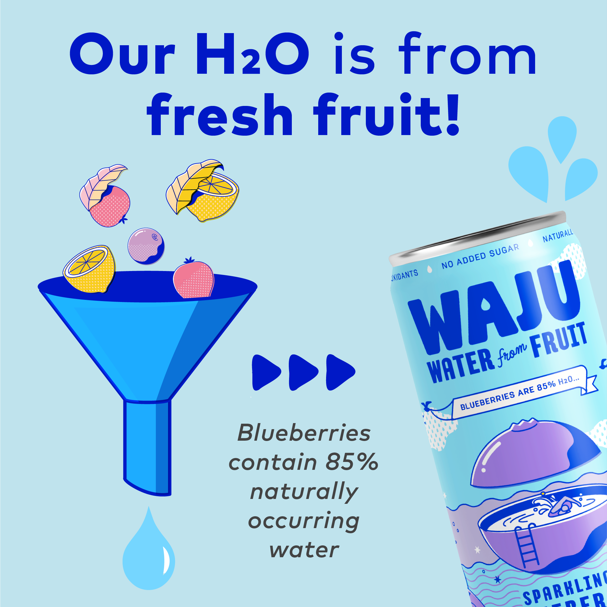WAJU Water - Wholesale Sparkling Water - Blueberry Water from Fruit | Sparkling Water | Antioxidants2