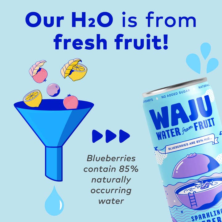 WAJU Water - Wholesale Sparkling Water - Blueberry Water from Fruit | Sparkling Water | Antioxidants2