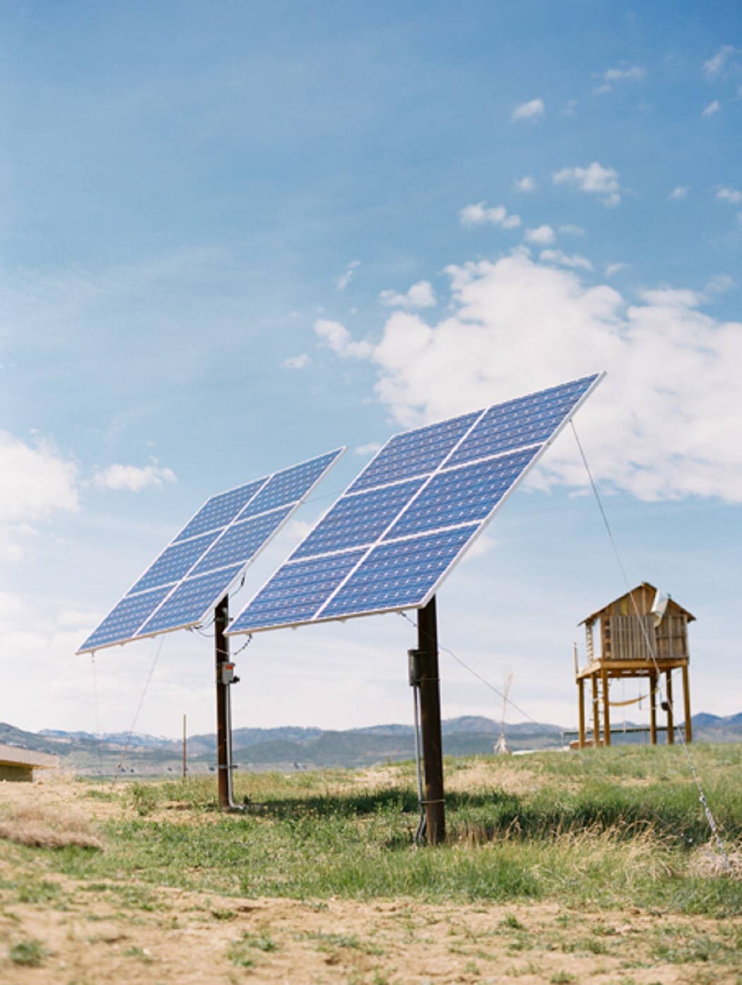 Queen of the Meadow – wholesale Kroppsbalsam/Smör – Sheasmör, 4 oz3