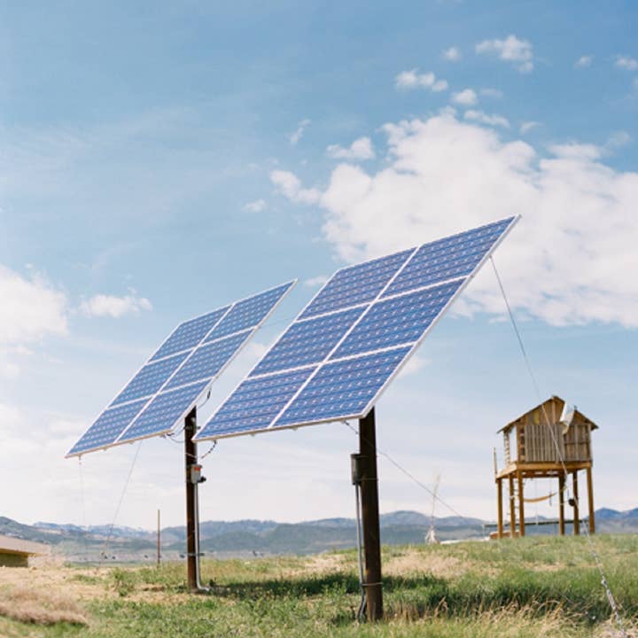 Queen of the Meadow – wholesale Kroppsbalsam/Smör – Sheasmör, 4 oz3