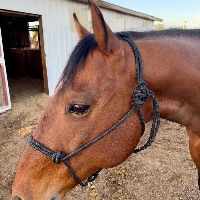 Smart Horse Gear - Wholesale Horseback Riding Gear - 3/8" Rope Halter with Ring, Black0