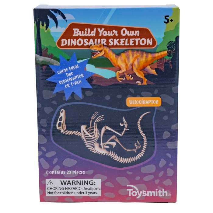Toysmith - Wholesale Toy Set - Kids - Toysmith BYO Dinosaur Skeleton5