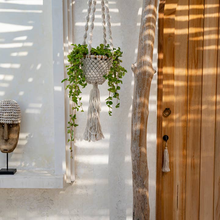 Bazar Bizar Living – Großhandel Pflanzenampel – Der gedrehte Makramee-Pflanzenhalter - Naturweiß - S