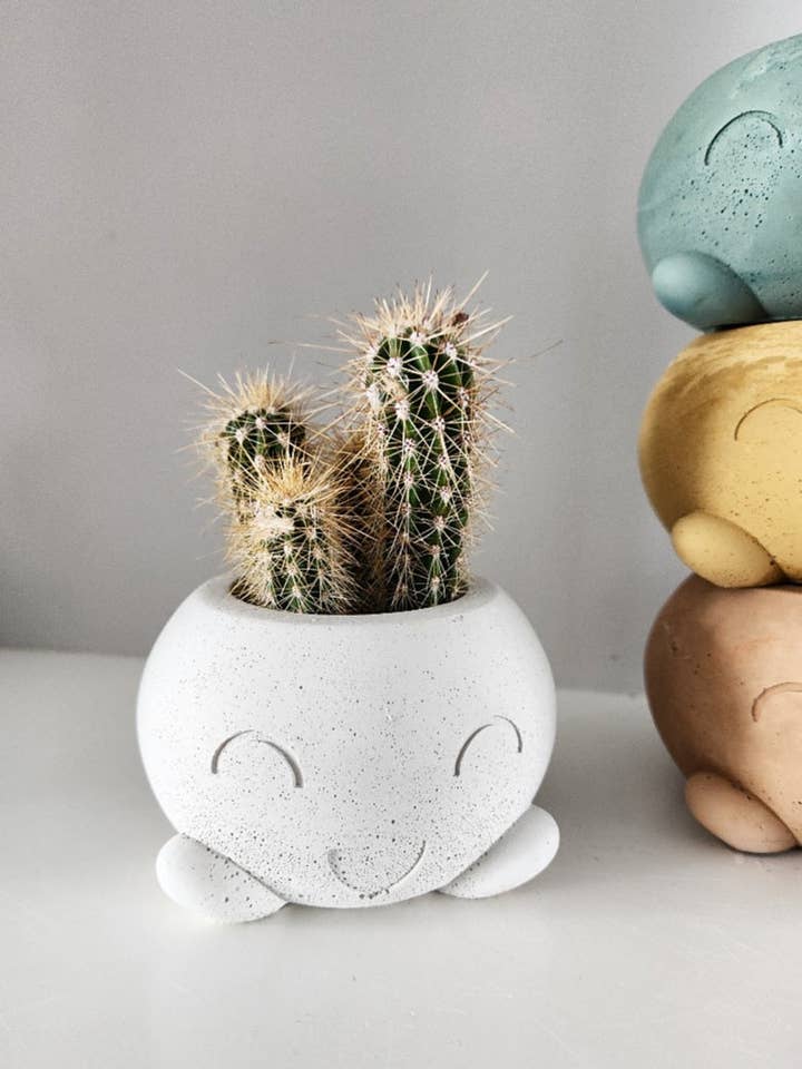 Walter Smiles for wholesale by Plant 'er Here