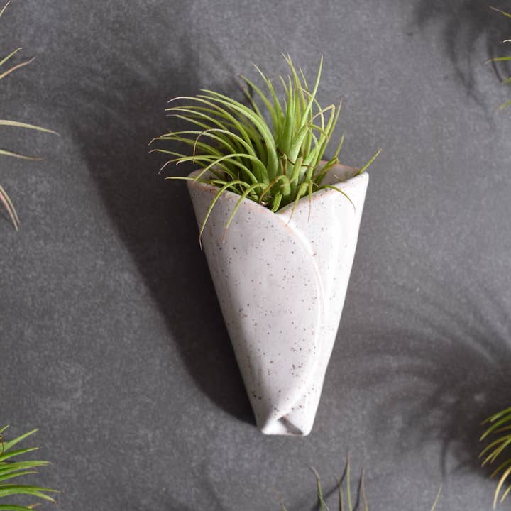 Mud & Maker - Wholesale Plant Pot - Air Plant Pottery - CONE