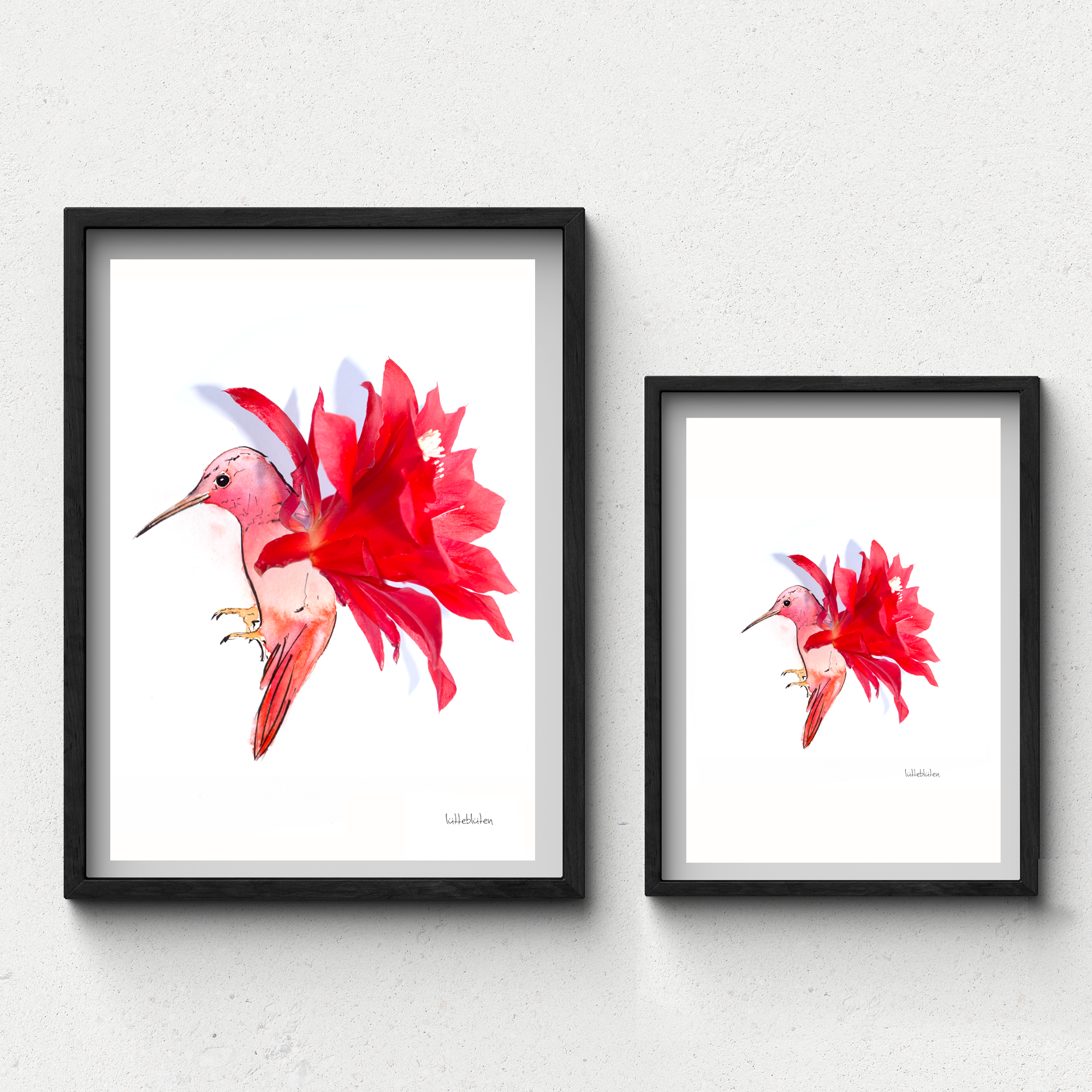 Lütteblüten - Wholesale Art Print - Cactus Hummingbird - Art Print A3 and A40