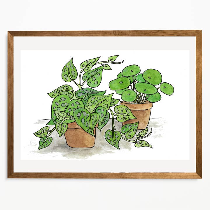 Impression artistique de plantes d'intérieur pour la vente par E R Kess Designs
