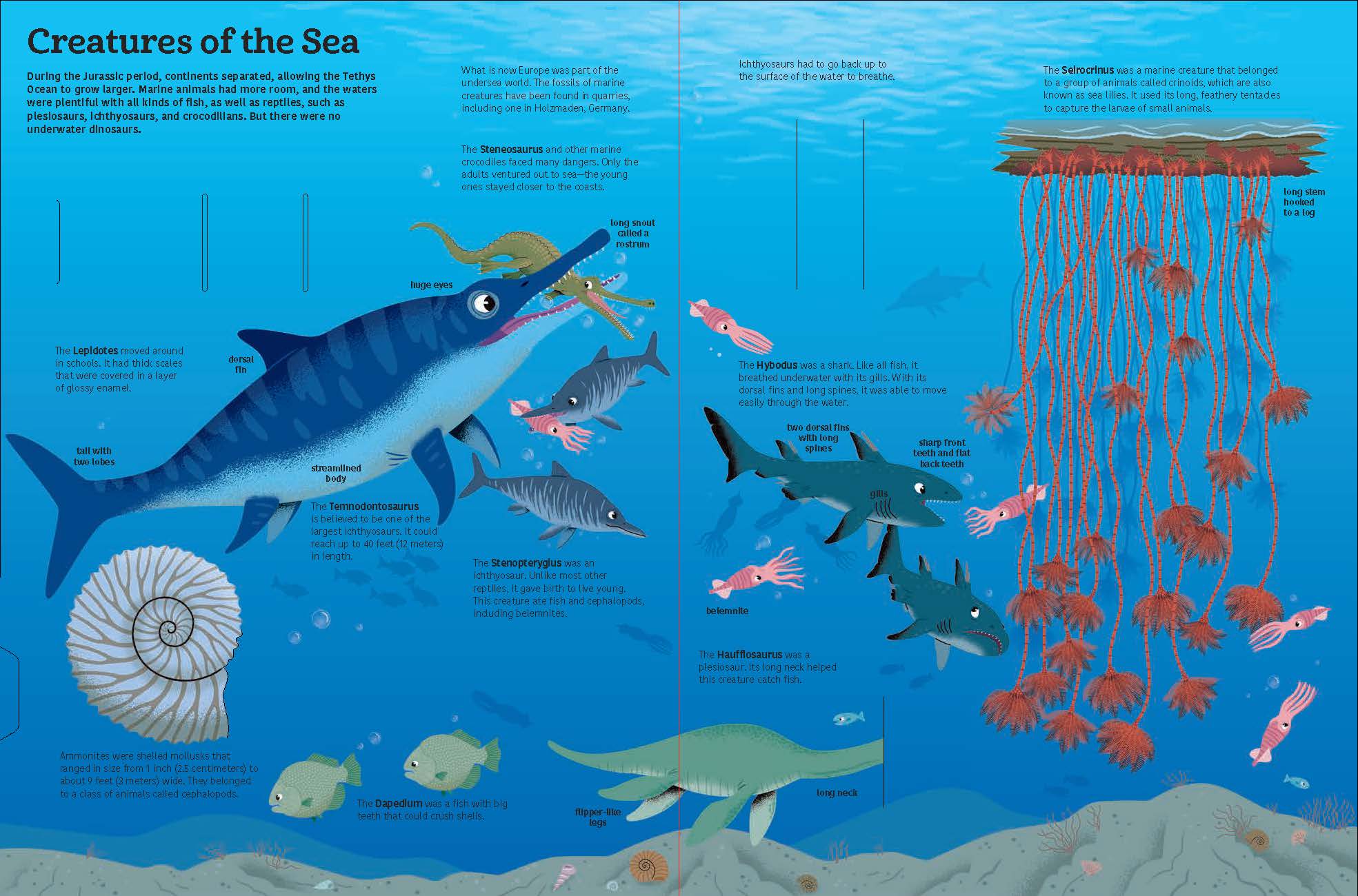 Chronicle Books - Wholesale Science & Math - The Ultimate Book of Dinosaurs & Other Prehistoric Creatures3