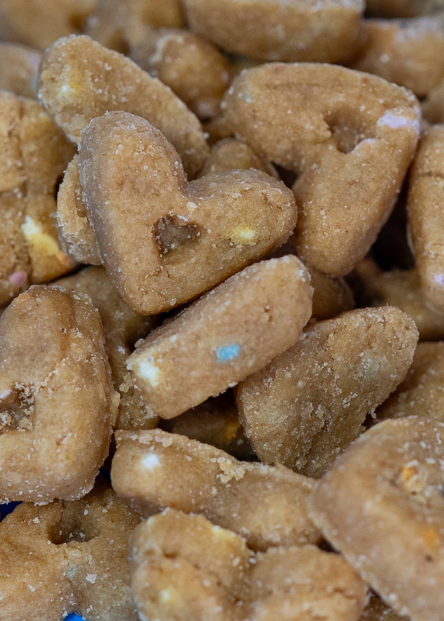 The Doggy District - Wholesale Pet Treats - Dog - Barkday Cake Soft Dog Treats1