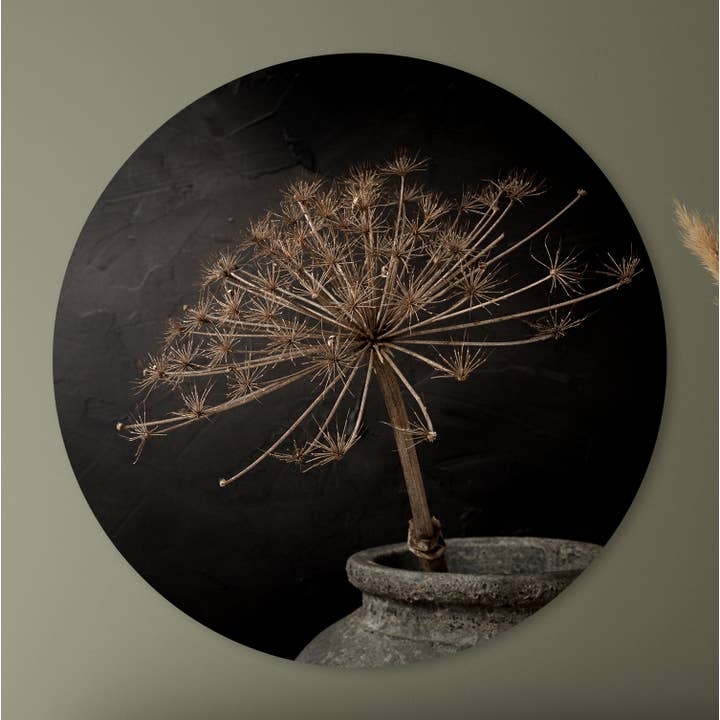 Círculo de pared, Hogweed, calidad premium de Dibond para venta al por mayor de Sferico