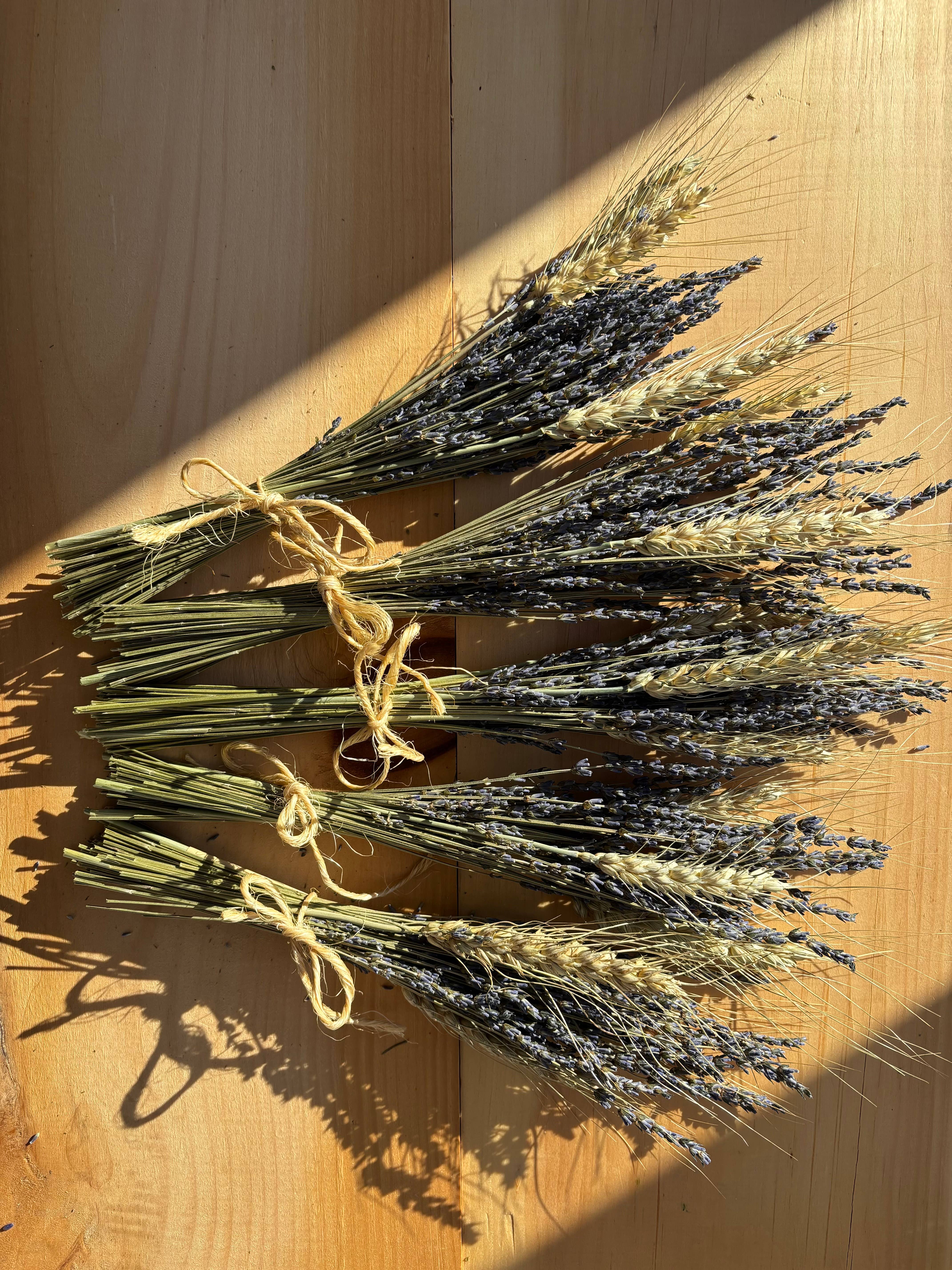 Lavender Creek Farm - Wholesale Dried/Pressed Flowers - Dried Lavender Mini-Bunches5